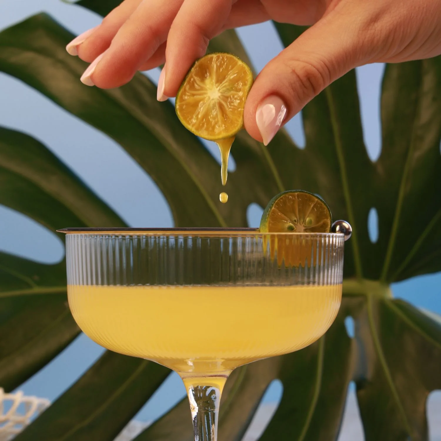 Calamansi Daiquiri Capsules - Image 3